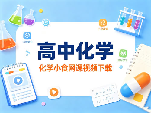 高中化学 化学小食网课视频